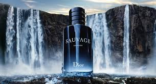 Sauvage by Dior 100ml