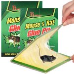 Mouse Trap pack of 10