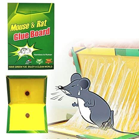 Mouse Trap pack of 10