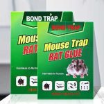 Mouse Trap pack of 10