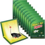 Mouse Trap pack of 10