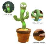 Dancing Cactus Toy