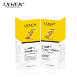 LICHEN GINGER SHAMPOO And Conditioner 500ml