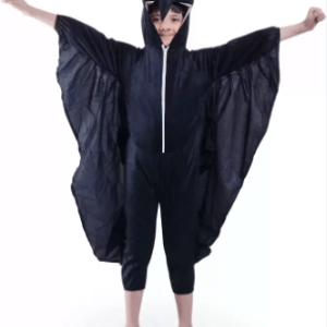 Crow Costume for Kids