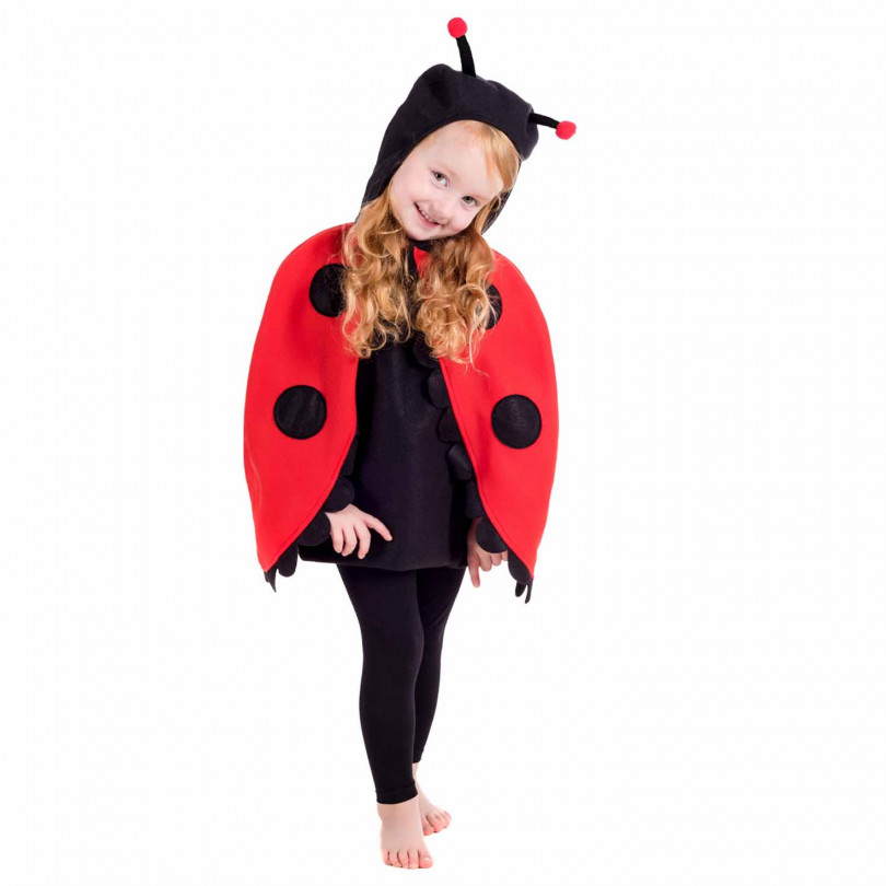 Lady Bug Costume for Kids