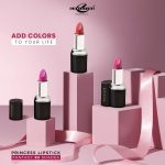 pack of 12 Christine Lipsticks