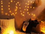 Moobibear LED String Lights,LEDs Fairy Lights Plug