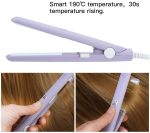 Mini Hair Straightener Flat Iron